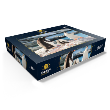 Strongster Gentoo Penguin Cute Funny Baby Chick Mama Penguins Colony Wildlife King Birds Polar Animals Cold Wild Life Creatures Antarctica Antarctic Peninsula Deception Island Crescent Georgia 500 Jigsaw Puzzle box view1