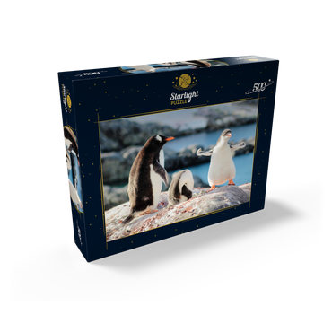 Strongster Gentoo Penguin Cute Funny Baby Chick Mama Penguins Colony Wildlife King Birds Polar Animals Cold Wild Life Creatures Antarctica Antarctic Peninsula Deception Island Crescent Georgia 500 Jigsaw Puzzle box view1