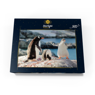 Strongster Gentoo Penguin Cute Funny Baby Chick Mama Penguins Colony Wildlife King Birds Polar Animals Cold Wild Life Creatures Antarctica Antarctic Peninsula Deception Island Crescent Georgia 500 Jigsaw Puzzle box view1