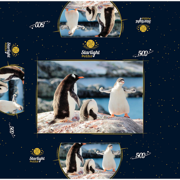 Strongster Gentoo Penguin Cute Funny Baby Chick Mama Penguins Colony Wildlife King Birds Polar Animals Cold Wild Life Creatures Antarctica Antarctic Peninsula Deception Island Crescent Georgia 500 Jigsaw Puzzle box 3D Modell
