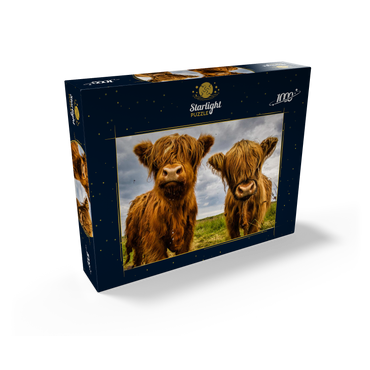 Two highland cows 1000 Jigsaw Puzzle box view1