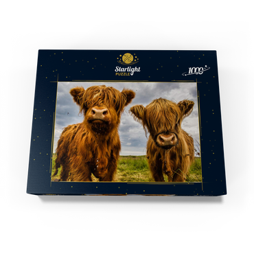 Two highland cows 1000 Jigsaw Puzzle box view1