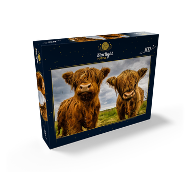 Two highland cows 100 Jigsaw Puzzle box view1