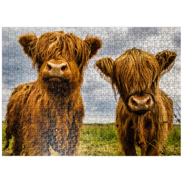 puzzleplate Two highland cows 500 Jigsaw Puzzle
