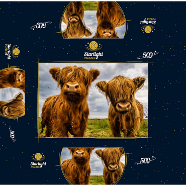 Two highland cows 500 Jigsaw Puzzle box 3D Modell