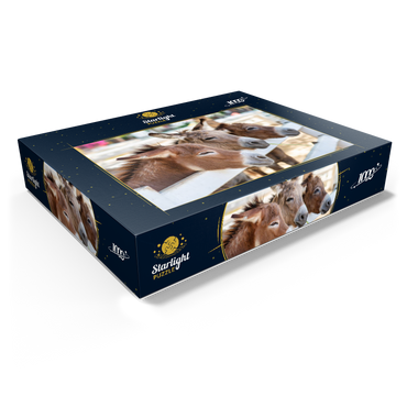 Three horses or donkeys on the farm. head of coupe brown horse or donkey in the stable. horse or donkey lover and third party. triangle concept for pets. love the concept of a third party. a sad concept. 1000 Jigsaw Puzzle box view1