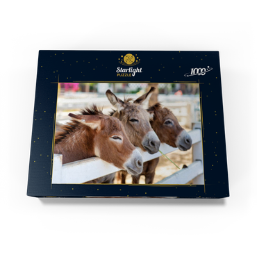 Three horses or donkeys on the farm. head of coupe brown horse or donkey in the stable. horse or donkey lover and third party. triangle concept for pets. love the concept of a third party. a sad concept. 1000 Jigsaw Puzzle box view1