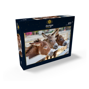 Three horses or donkeys on the farm. head of coupe brown horse or donkey in the stable. horse or donkey lover and third party. triangle concept for pets. love the concept of a third party. a sad concept. 100 Jigsaw Puzzle box view1