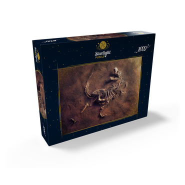 Dinosaurir fossil (Tyrannosaurus Rex) from archaeologists 1000 Jigsaw Puzzle box view1