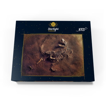 Dinosaurir fossil (Tyrannosaurus Rex) from archaeologists 1000 Jigsaw Puzzle box view1