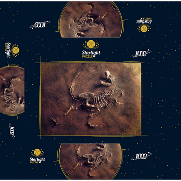 Dinosaurir fossil (Tyrannosaurus Rex) from archaeologists 1000 Jigsaw Puzzle box 3D Modell