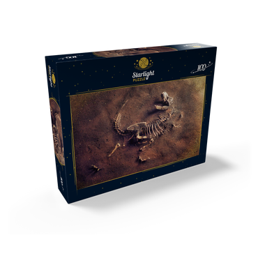 Dinosaurir fossil (Tyrannosaurus Rex) from archaeologists 100 Jigsaw Puzzle box view1