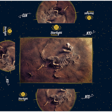 Dinosaurir fossil (Tyrannosaurus Rex) from archaeologists 100 Jigsaw Puzzle box 3D Modell