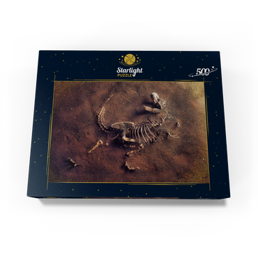 Dinosaurir fossil (Tyrannosaurus Rex) from archaeologists 500 Jigsaw Puzzle box view1