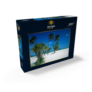 Beach at Key Biscayne, Miami, Florida, USA 1000 Jigsaw Puzzle box view1