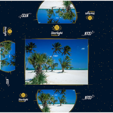 Beach at Key Biscayne, Miami, Florida, USA 1000 Jigsaw Puzzle box 3D Modell