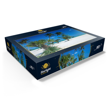 Beach at Key Biscayne, Miami, Florida, USA 100 Jigsaw Puzzle box view1