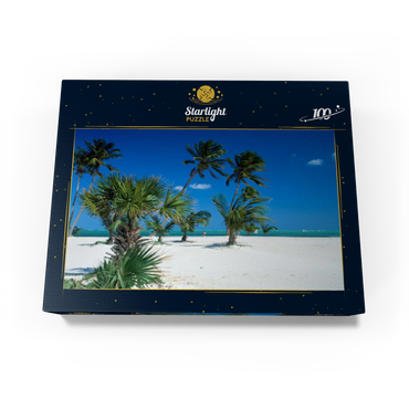 Beach at Key Biscayne, Miami, Florida, USA 100 Jigsaw Puzzle box view1