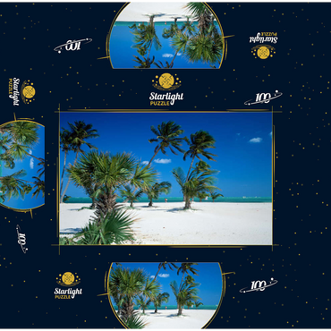 Beach at Key Biscayne, Miami, Florida, USA 100 Jigsaw Puzzle box 3D Modell