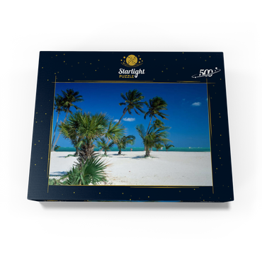 Beach at Key Biscayne, Miami, Florida, USA 500 Jigsaw Puzzle box view1