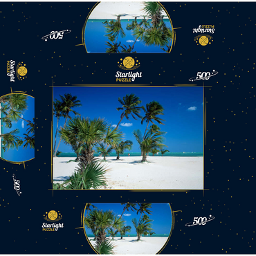 Beach at Key Biscayne, Miami, Florida, USA 500 Jigsaw Puzzle box 3D Modell