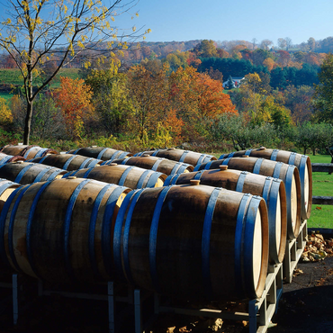Hopkins Winery on the Connecticut Wine Route, Lake Waramaug, Connecticut, USA 500 Jigsaw Puzzle 3D Modell