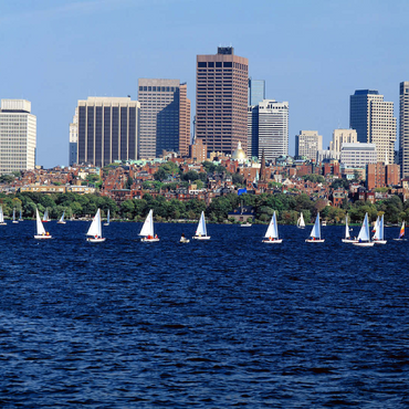 Boston skyline, Massachusetts, USA 100 Jigsaw Puzzle 3D Modell