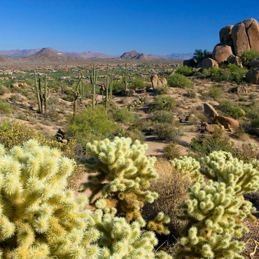 View from Pinnacle Peak, Scottsdale, Arizona, USA 500 Jigsaw Puzzle 3D Modell