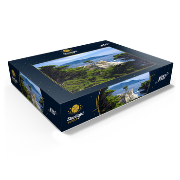 Monterey cypress (Lone Cypress) on the Pacific coast near 1000 Jigsaw Puzzle box view1