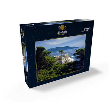Monterey cypress (Lone Cypress) on the Pacific coast near 1000 Jigsaw Puzzle box view1