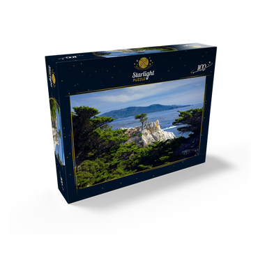 Monterey cypress (Lone Cypress) on the Pacific coast near 100 Jigsaw Puzzle box view1