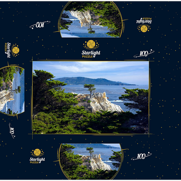 Monterey cypress (Lone Cypress) on the Pacific coast near 100 Jigsaw Puzzle box 3D Modell