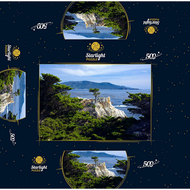 Monterey cypress (Lone Cypress) on the Pacific coast near 500 Jigsaw Puzzle box 3D Modell