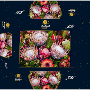 Protea 1000 Jigsaw Puzzle box 3D Modell