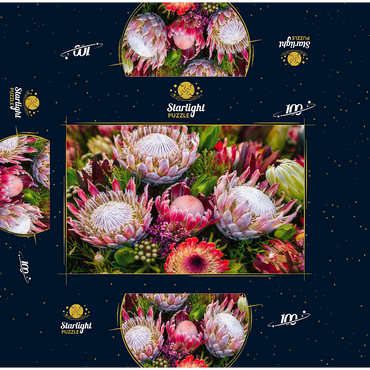 Protea 100 Jigsaw Puzzle box 3D Modell