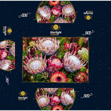 Protea 500 Jigsaw Puzzle box 3D Modell
