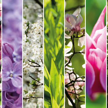 Flower Garden - Spring Collage 1000 Jigsaw Puzzle 3D Modell