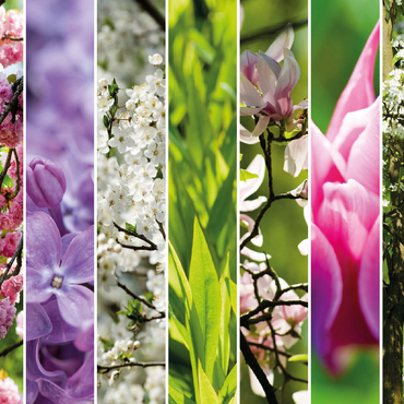 Flower Garden - Spring Collage 100 Jigsaw Puzzle 3D Modell