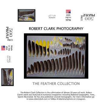 Bohemian Waxwing 500 Jigsaw Puzzle box 3D Modell