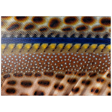 puzzleplate Great Argus 1000 Jigsaw Puzzle