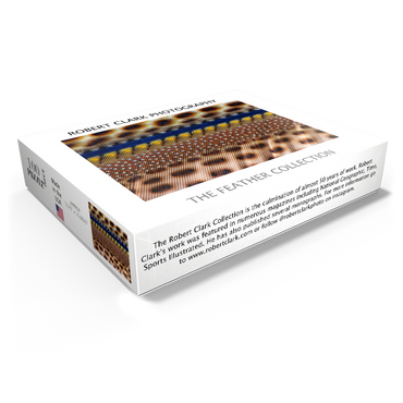 Great Argus 100 Jigsaw Puzzle box view1