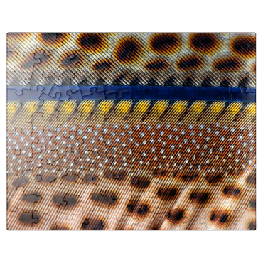 puzzleplate Great Argus 100 Jigsaw Puzzle