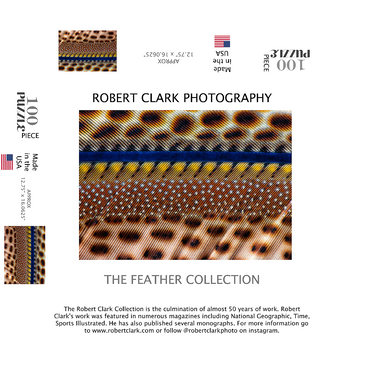 Great Argus 100 Jigsaw Puzzle box 3D Modell