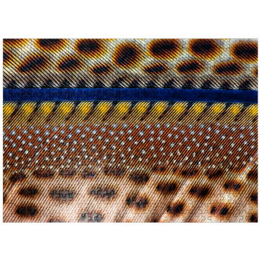 puzzleplate Great Argus 500 Jigsaw Puzzle