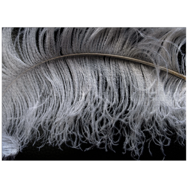 puzzleplate Ostrich 1000 Jigsaw Puzzle