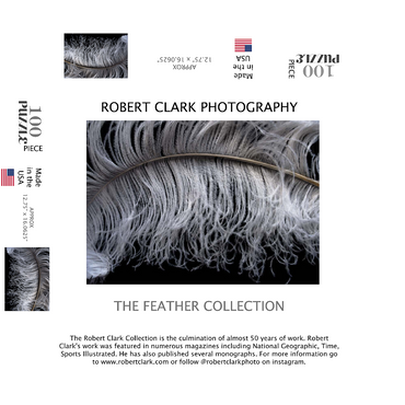 Ostrich 100 Jigsaw Puzzle box 3D Modell