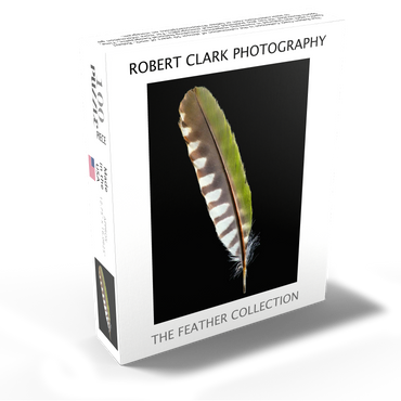 European Green Woodpecker 100 Jigsaw Puzzle box view1