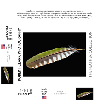 European Green Woodpecker 100 Jigsaw Puzzle box 3D Modell