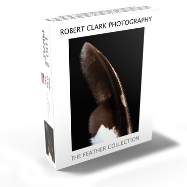 Spotted Eagle Owl 100 Jigsaw Puzzle box view1