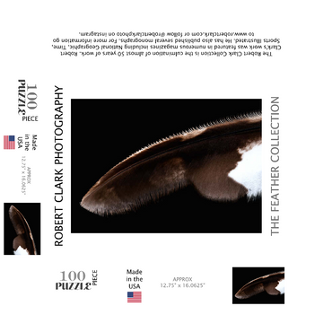 Spotted Eagle Owl 100 Jigsaw Puzzle box 3D Modell